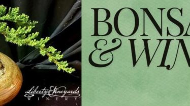 Bonsai & Wine