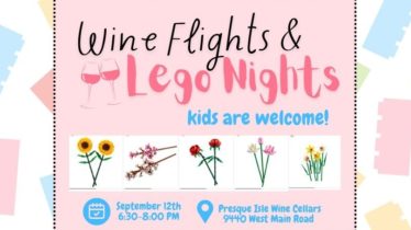 Wine Flights & Lego Nights