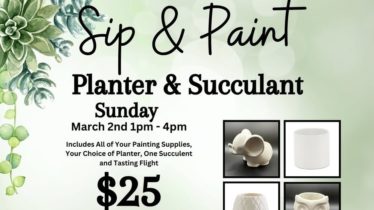 Sip & Paint: Planter & Succulent